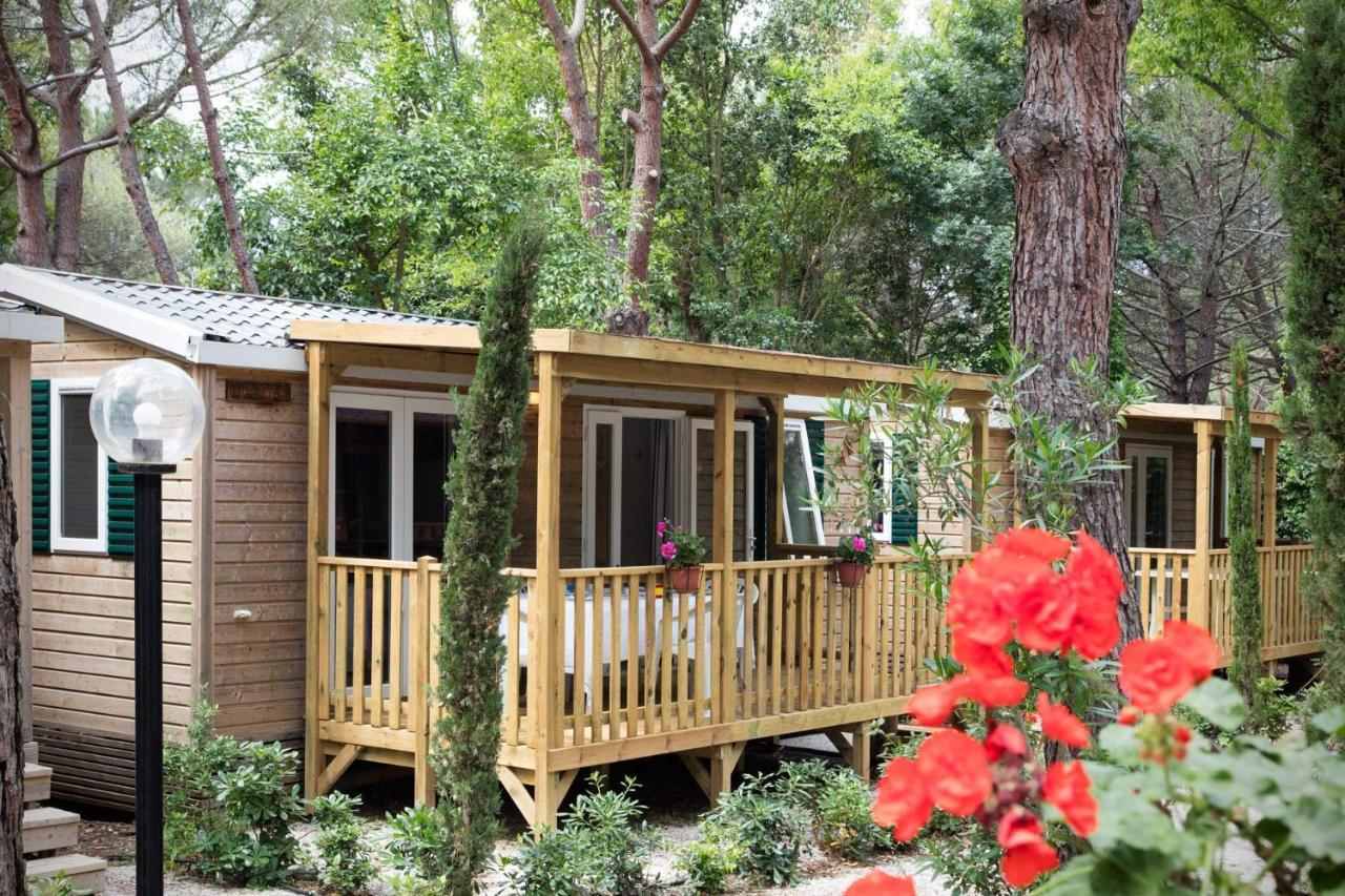 Camping Village Il Gineprino มารินา ดิ บิบโบนา ภายนอก รูปภาพ