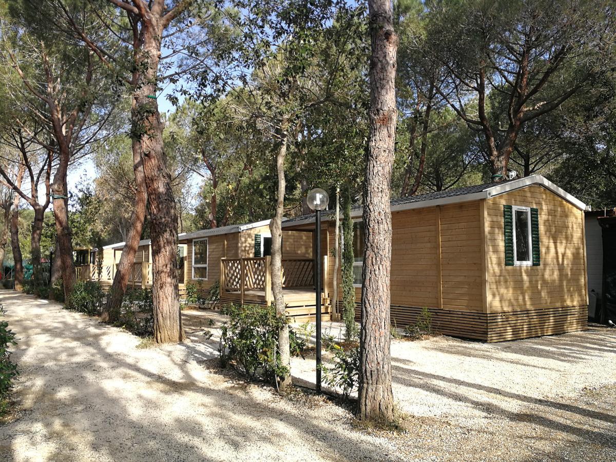 Camping Village Il Gineprino มารินา ดิ บิบโบนา ภายนอก รูปภาพ